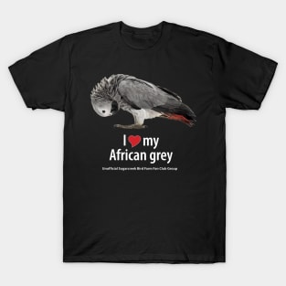 love African grey (2) T-Shirt